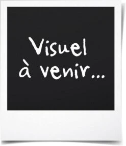 Campingaz Premium Barbecue XXL - Housse De Protection Pour BBQ - 171 X 62 X 106 Cm - Zwart -Magasin D'Accessoires Pour Barbecue 1031x1200