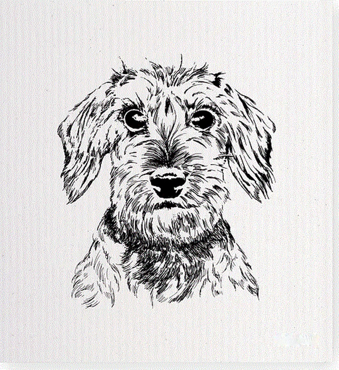 Teckel - Teckel à Poil Dur - Spatule - Spatule De Cuisine - Torchon - Chiffon De Nettoyage 8 Teckel - Teckel à Poil Dur - Spatule - Spatule De Cuisine - Torchon - Chiffon De Nettoyage – Image 6