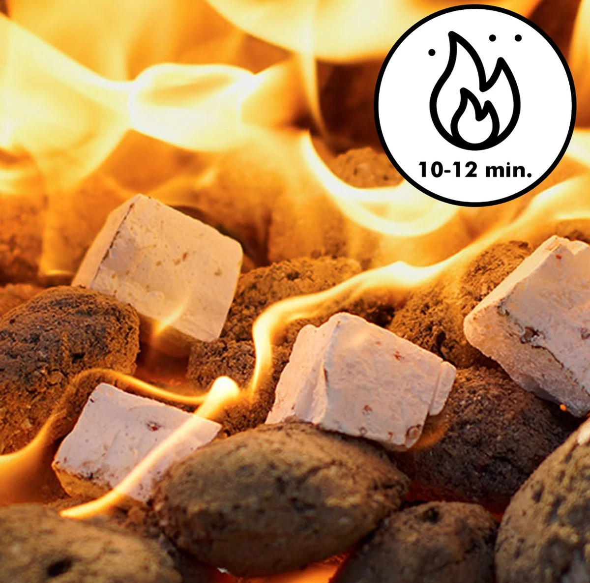 Inround - Barbecue Avec Briquettes De Charbon De Bois, Allume-feu, Allume-charbon Et Brochettes De Barbecue - BBQ 11 Inround - Barbecue Avec Briquettes De Charbon De Bois, Allume-feu, Allume-charbon Et Brochettes De Barbecue - BBQ – Image 9