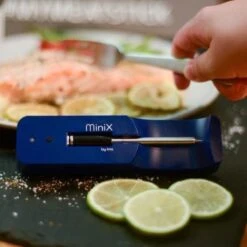 The MeatStick Mini X Core Thermometer Set - The MeatStick 25 The MeatStick Mini X Core Thermometer Set - The MeatStick -Magasin D'Accessoires Pour Barbecue 1200x1200 1275