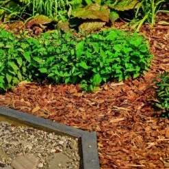 Holtaz - Écorce Décorative - Copeaux De Bois Décoratifs - Écorce Deco - Décoration Dune - 50 Litres - Oranje -Magasin D'Accessoires Pour Barbecue 1200x1200 1545