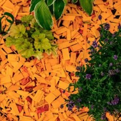 Holtaz - Écorce Décorative - Copeaux De Bois Décoratifs - Écorce Deco - Décoration Dune - 50 Litres - Oranje -Magasin D'Accessoires Pour Barbecue 1200x1200 1546