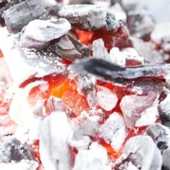 Barbecook - Démarreur De Briquettes - Démarreur De BBQ - Démarreur De Charbon De Bois - Acier Inoxydable - Ø 16,5 X 27,5 Cm 12 Barbecook - Démarreur De Briquettes - Démarreur De BBQ - Démarreur De Charbon De Bois - Acier Inoxydable - Ø 16,5 X 27,5 Cm -Magasin D'Accessoires Pour Barbecue 1200x1200 782