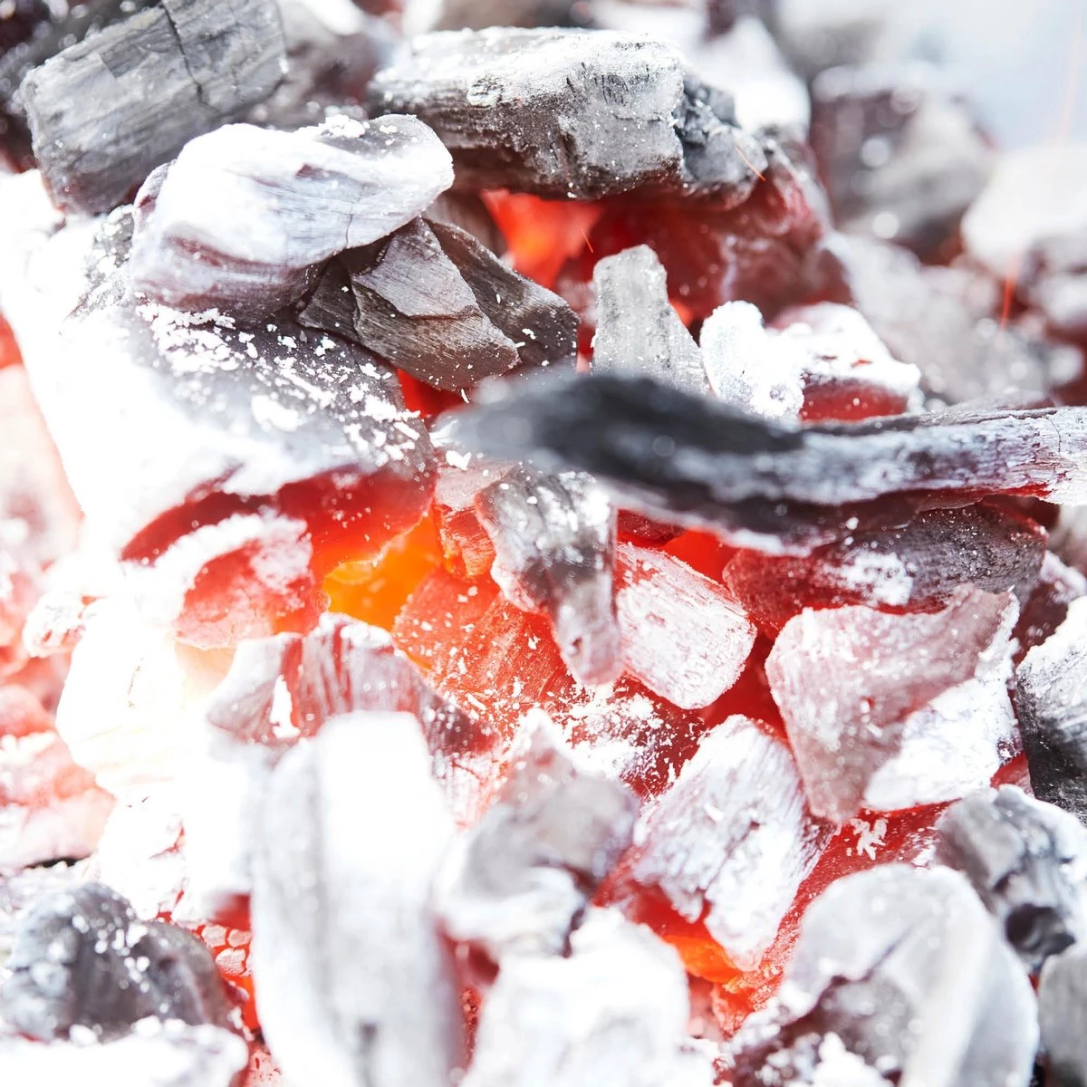 Barbecook - Démarreur De Briquettes - Démarreur De BBQ - Démarreur De Charbon De Bois - Acier Inoxydable - Ø 16,5 X 27,5 Cm 6 Barbecook - Démarreur De Briquettes - Démarreur De BBQ - Démarreur De Charbon De Bois - Acier Inoxydable - Ø 16,5 X 27,5 Cm – Image 4