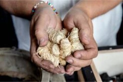 Boucles De Briquet En Laine De Bois Samba 240 Pièces, 3 Kg. Dans Un Carton Extérieur - Respectueux De L'environnement - Neutre En CO2 - FSC® -Magasin D'Accessoires Pour Barbecue 1200x802 5