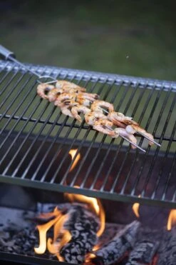 Barbecue D'extérieur Mustang Barbecue Patagonia Réglable En Hauteur - Zwart - Barbecue D'extérieur - Barbecue à Charbon - 39,8 Kg -Magasin D'Accessoires Pour Barbecue 799x1200 1