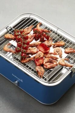 Barbecook Carlo - Barbecue Au Charbon De Bois - Barbecue De Table - Sac De Transport - Compact - Ventilateur - 38,5 X 28,5 Cm - 6 P. - Bleu -Magasin D'Accessoires Pour Barbecue 799x1200 15