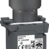 Fil Electric Schneider Electric . & Batterie. Bouton Poussoir - ZB5RTA432 -Magasin D'Accessoires Pour Barbecue 894x1200 1