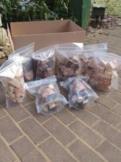 Assortiment Smokewood Pomme / Cerise / Chêne / Hêtre