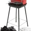 Inround - Barbercue Avec Briquettes De Charbon De Bois Et Allume-feu - BBQ -Magasin D'Accessoires Pour Barbecue 965x1200